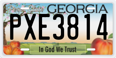 GA license plate PXE3814