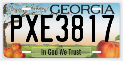 GA license plate PXE3817