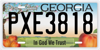 GA license plate PXE3818