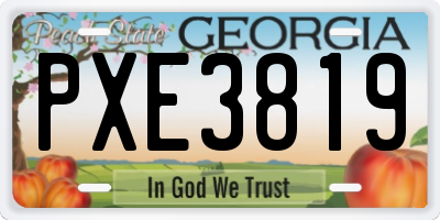 GA license plate PXE3819
