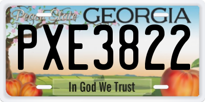 GA license plate PXE3822