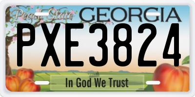 GA license plate PXE3824