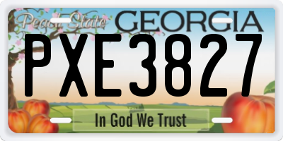 GA license plate PXE3827