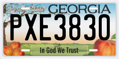 GA license plate PXE3830