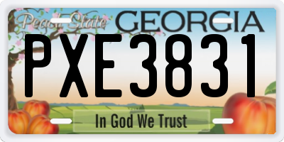 GA license plate PXE3831