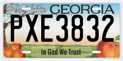 GA license plate PXE3832