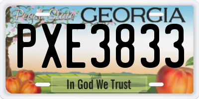 GA license plate PXE3833