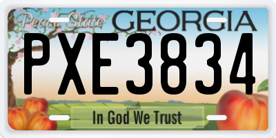 GA license plate PXE3834
