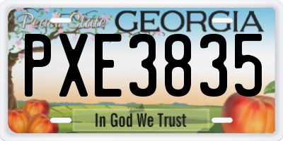 GA license plate PXE3835