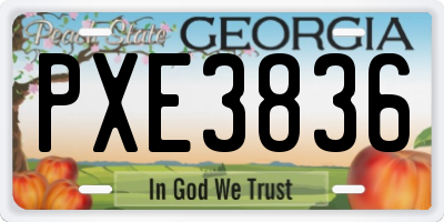 GA license plate PXE3836