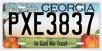 GA license plate PXE3837