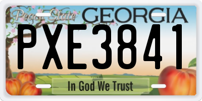 GA license plate PXE3841
