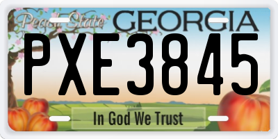 GA license plate PXE3845