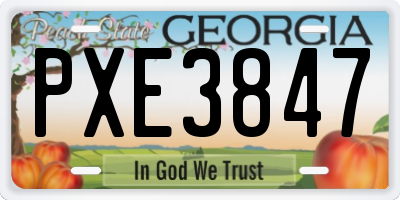 GA license plate PXE3847