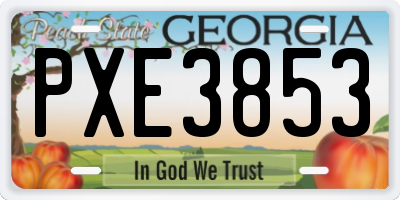 GA license plate PXE3853