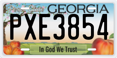 GA license plate PXE3854