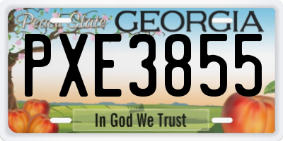 GA license plate PXE3855