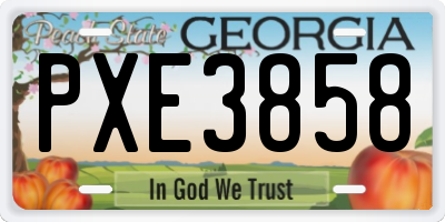 GA license plate PXE3858