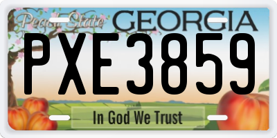 GA license plate PXE3859