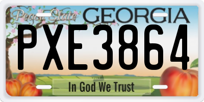 GA license plate PXE3864