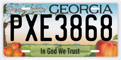 GA license plate PXE3868