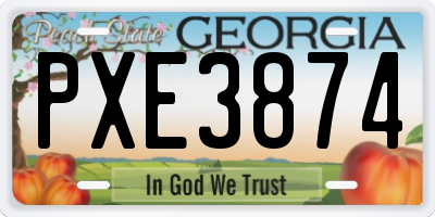 GA license plate PXE3874