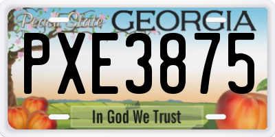 GA license plate PXE3875