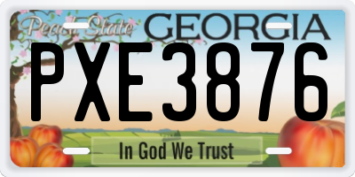 GA license plate PXE3876