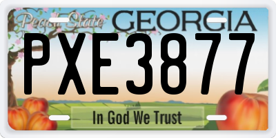 GA license plate PXE3877