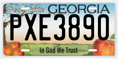 GA license plate PXE3890