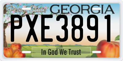 GA license plate PXE3891