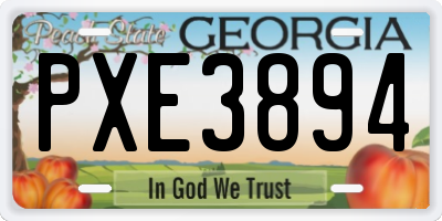 GA license plate PXE3894