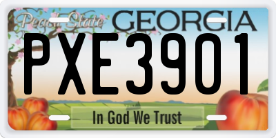 GA license plate PXE3901