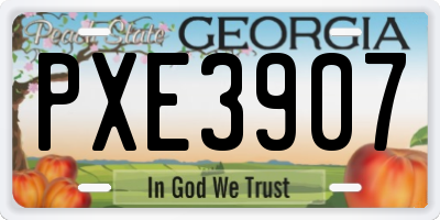 GA license plate PXE3907