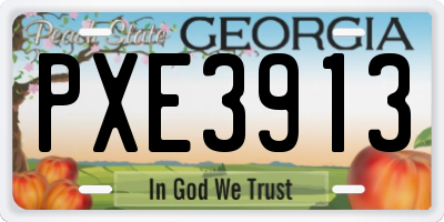 GA license plate PXE3913