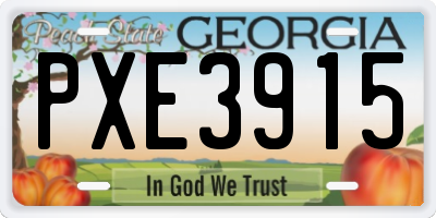 GA license plate PXE3915