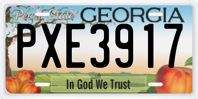 GA license plate PXE3917