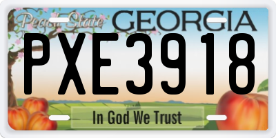 GA license plate PXE3918