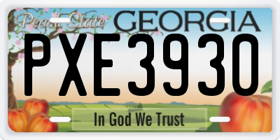 GA license plate PXE3930