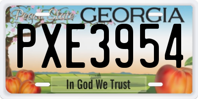 GA license plate PXE3954