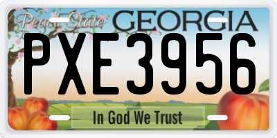 GA license plate PXE3956