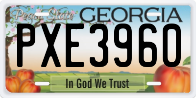 GA license plate PXE3960