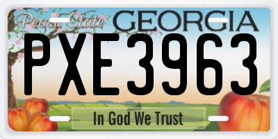 GA license plate PXE3963