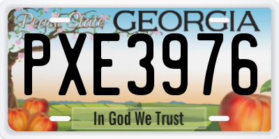 GA license plate PXE3976