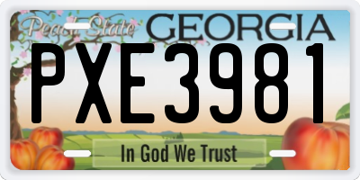 GA license plate PXE3981