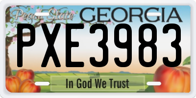 GA license plate PXE3983