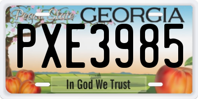 GA license plate PXE3985
