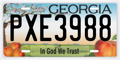 GA license plate PXE3988