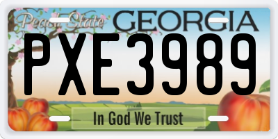GA license plate PXE3989