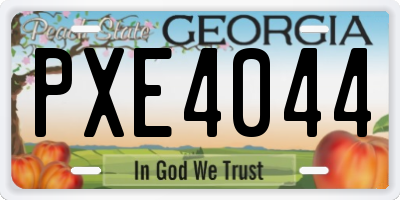 GA license plate PXE4044